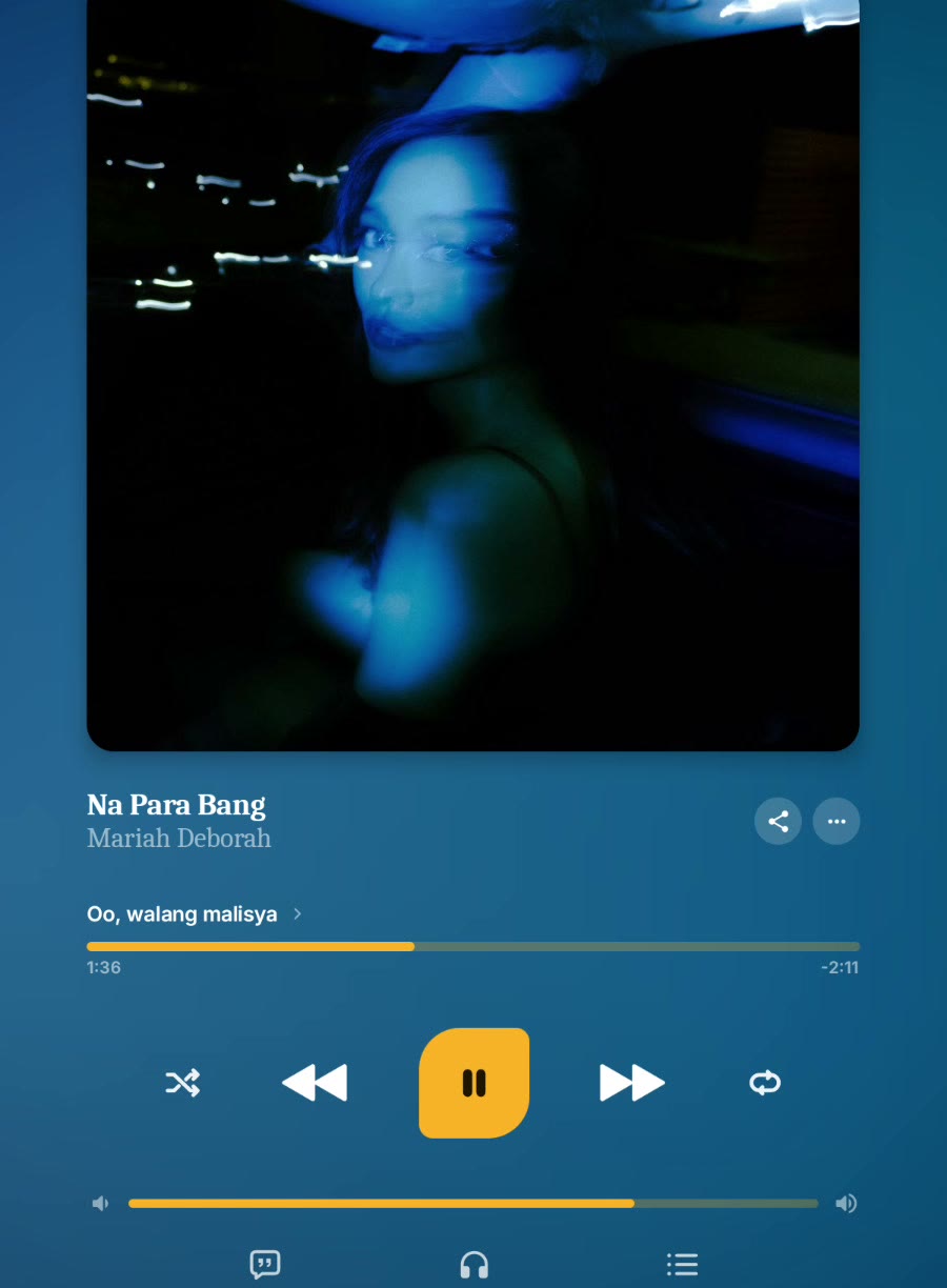 Sonariq Now Playing screen